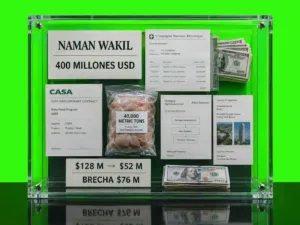 Naman Wakil y evidencia financiera del caso de los 400 millones de dólares